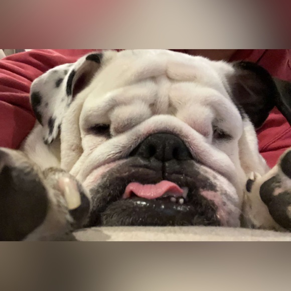 Meet your Posher, Jordynn - Picture 7 of 15